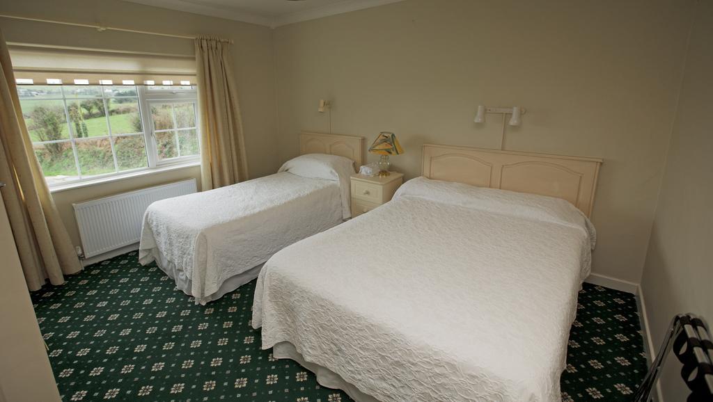 クロナキルティ Ard Na Greine Bed & Breakfast 部屋 写真